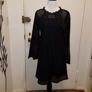 Ann Taylor Loft lace dress